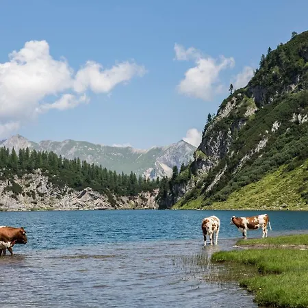 Robinson Amade Kleinarl