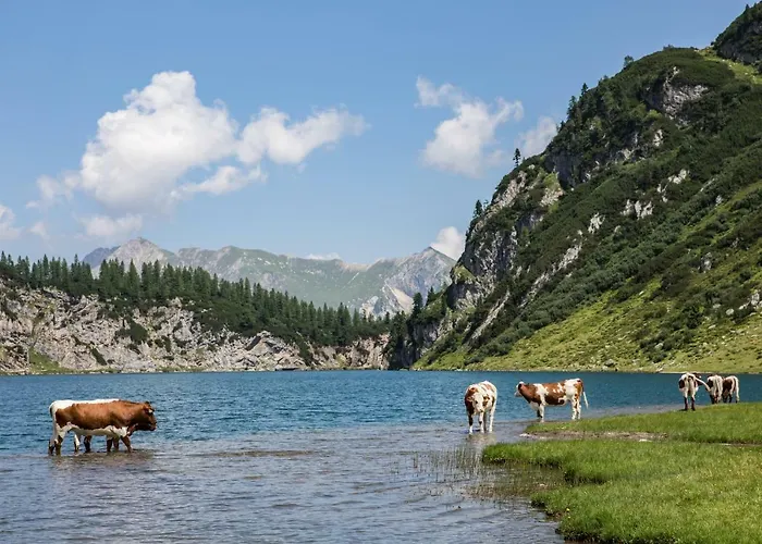 Robinson Amade קליינארל